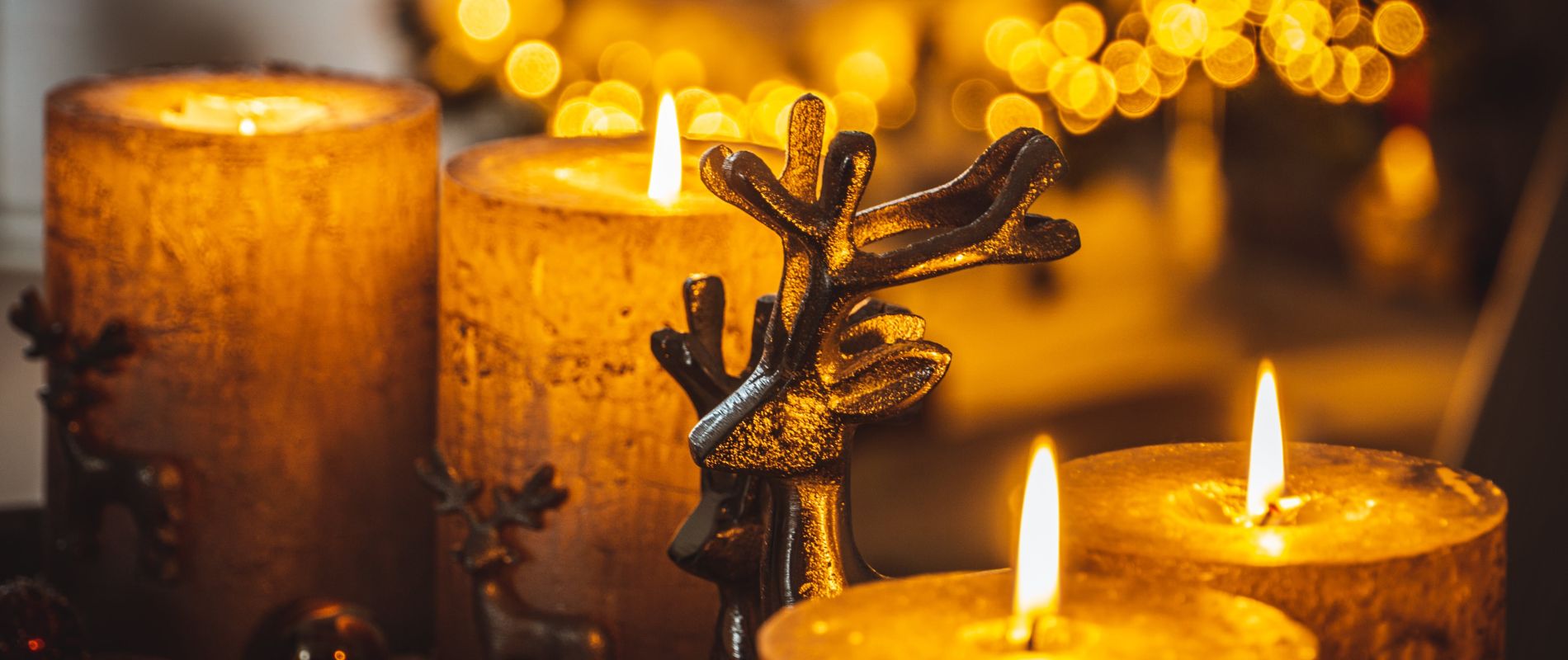 Advent, Advent, der Christbaum BRENNT!