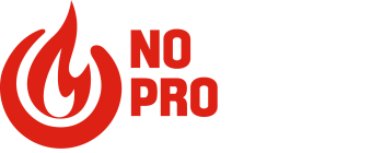 Logo Nofire Prosafety Schulung & Consulting